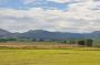 DSC_0166.jpg