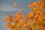 DSC_0361.jpg