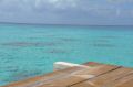 DSC_0120.jpg