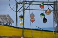 DSC_0219.jpg