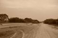 DSC_2608.jpg