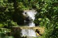 DSC_3206.jpg