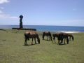 DSCN1405.jpg
