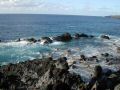 DSCN1465.jpg