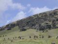 DSCN1501.jpg