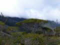 P1000731.jpg