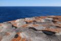 DSC00899.jpg