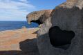 DSC00909.jpg
