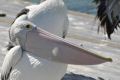 DSC_6778.jpg